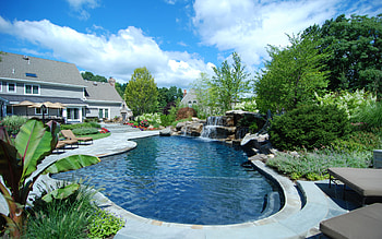 Kids In Swimming Pool HD wallpaper