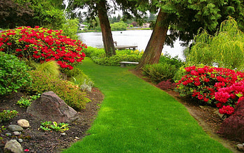Spring at the lake, colors, trees, park, blossoms HD wallpaper