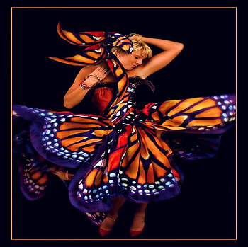 BUTTERLFY DRESS, blue, black, model, butterfly, orange, dress HD wallpaper