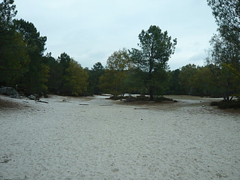 sable 3 pignons, 3 pignons, fontainebleau, forests, nature, france HD wallpaper