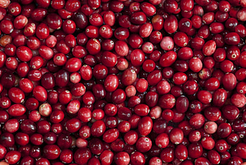 Health benefits of cranberries, Superfood powers, Nutritional goodness, Wellness boost HD wallpaper