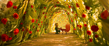 the little prince nexus HD wallpaper