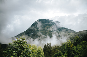 Nature, Trees, Mountains, Forest, Fog HD wallpaper
