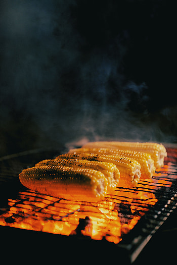 Food, Coals, Steam, Corn, Maize, Grill, Cobs HD phone wallpaper