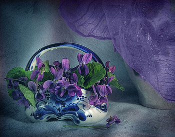 purple still life, purple, beautiful, violets, nice HD wallpaper