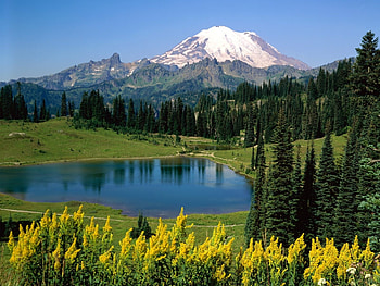 Landscape, Trees, Mountains, Lakes HD wallpaper