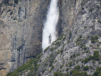 Nature, Bush, Rock, Wood, Waterfall, Tree, Break, Precipice HD wallpaper