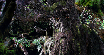 Hobbits and Ents, Lore album, Fascinating creatures, Imgur HD wallpaper
