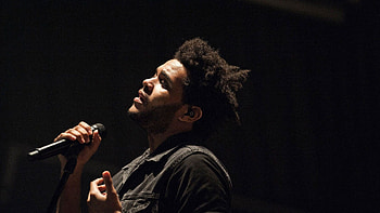 The Weeknd Xo - . HD wallpaper