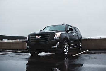 Cadillac, Cars, Wet, Car, Suv, Machine, Cadillac Escalade HD wallpaper
