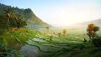 Bali, Ubud's charm, Cultural hub, Ubud's renowned beauty HD wallpaper