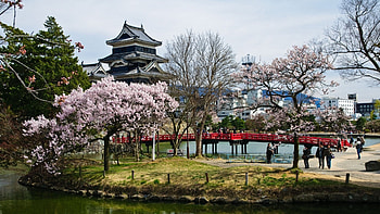 Matsumoto Castle, , Background , Stunning graphy HD wallpaper