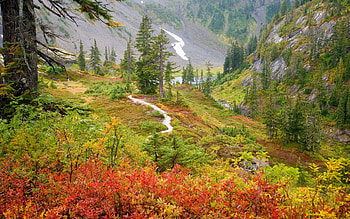 Landscape, Trees, Autumn HD wallpaper