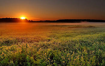 Landscape, Nature, Sunset HD wallpaper