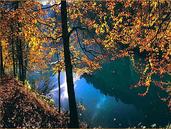 autumn lake, autumn, lake HD wallpaper