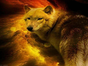 Wolf Of Autumn, abstract, fantasy, animals, dogs, wolf HD wallpaper