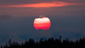 Pink Hour Vancouver Island Sunset , sunset, sunrise, nature HD wallpaper
