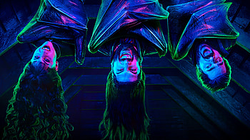 What We Do in the Shadows, Staffel 3, Video on Demand, Streaming HD wallpaper