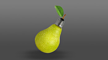 Pear bulb, pear, creative, grey, fantasy, fruit, leaf, funny, bulb HD wallpaper