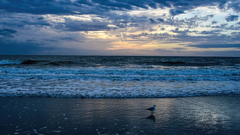 Sunrise Ocean , ocean, sunrise, nature HD wallpaper