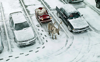 Christmas, Humor HD wallpaper