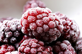 Raspberry, Macro, Dark, Berry, Frozen HD wallpaper