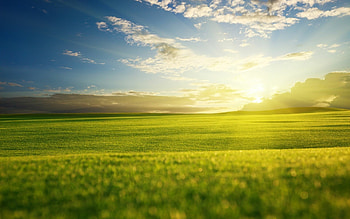Summer landscape nature, Sunny vistas, Lush greenery, Nature's paradise HD wallpaper