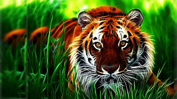 Clemson Tigers , 43 Clemson Tigers . HD wallpaper