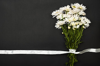 Flowers, Bouquet, Tape HD wallpaper