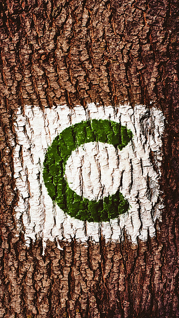 Words, Wood, Tree, Inscription, Bark, Letter HD phone wallpaper