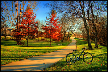 Ride Down Memory Lane !, leaves, autumn, road, beautiful, ride HD wallpaper