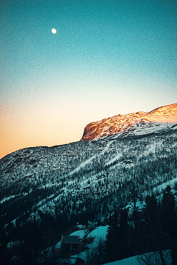 Nature, Trees, Snow, Mountain, Slope HD phone wallpaper
