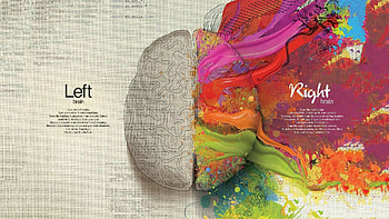 Left Brain Right Brain HD wallpaper