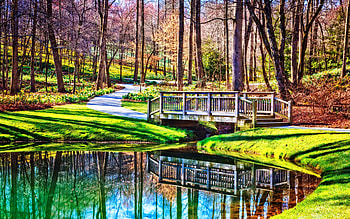 Reflective pool at Gibbs Garden in north Georgia in early Springtime, path, bridge, trees, water, reflections, usa HD wallpaper