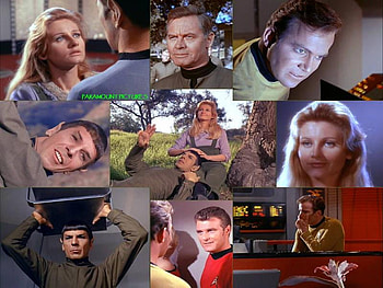 This Side of Paradise, classic trek, spock, tos, star trek HD wallpaper