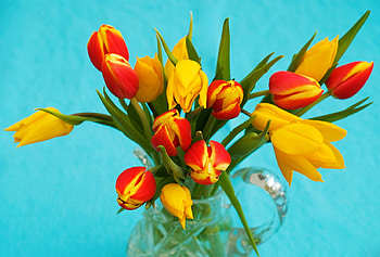 Colourful boquet, yellow, red, vase, flowers, tulips HD wallpaper