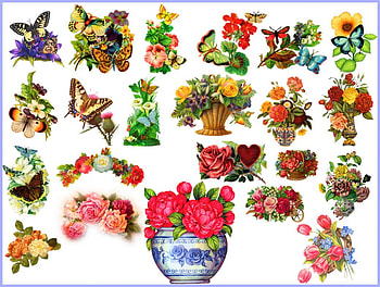 Wings and blooms, butterflies, roses, vases, colors, nature, flowers, beauty HD wallpaper