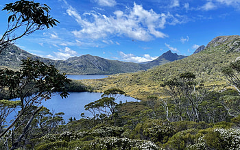 Cradle Mountain, Tasmania, Australia, wildflowers, trees, sky, hills, clouds HD wallpaper