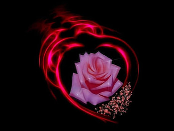 Rose, roses, 3d HD wallpaper