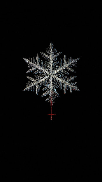 The Lodge (2022) movie HD phone wallpaper