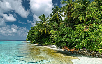 Enchanting lagoons, Tranquil waters, Hidden gems, Natural wonders HD wallpaper