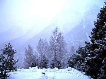 panorama winter, winter, blue, white, sky, nature, panorama, ice, tree HD wallpaper