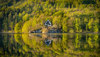 Emerald Forest Cabin — Mirror-Lake Retreat, Green, Nature, Cabin, Forest, Natural Landscape HD wallpaper