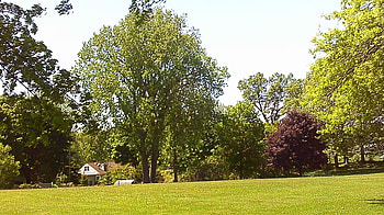walking to tennis feild, charlotte, nature, school, feild HD wallpaper