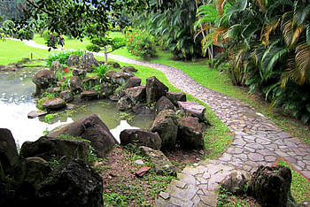 Little pond, garden, grass, rock, tree HD wallpaper