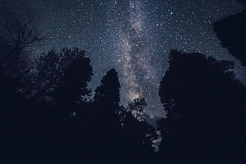 Nature, Trees, Stars, Night, Starry Sky HD wallpaper