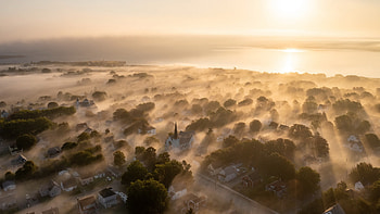 Morning Fog, trees, fog, morning, sunrise HD wallpaper