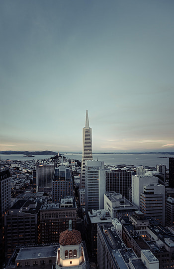 Cities, City, Building, Tower, Roof, Roofs HD phone wallpaper