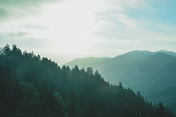 Nature, Sky, Mountains, Forest, Fog HD wallpaper