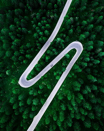 Drone shot capturing a winding road surrounded by lush green trees from above. HD phone wallpaper